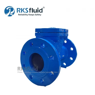 Customization High Quality ANSI DIN BS Standard Ductile Iron Ball Check Valve Flange Threaded PN10 PN16
