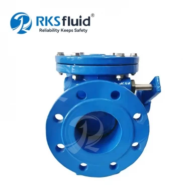 Short Delivery Time BS5153 Flange DN50 DN65 DN80 Ductile Iron Swing Type Check Valve PN10 PN16 with Counterweight