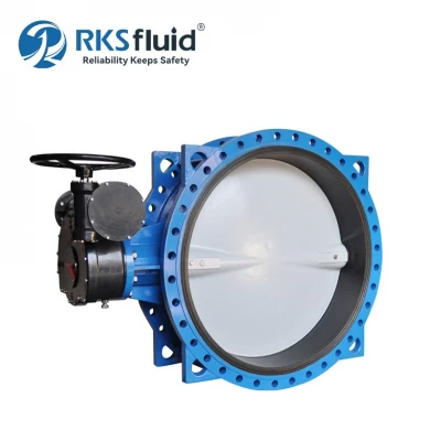 DN1600 PN10 Double Flange Butterfly Valve