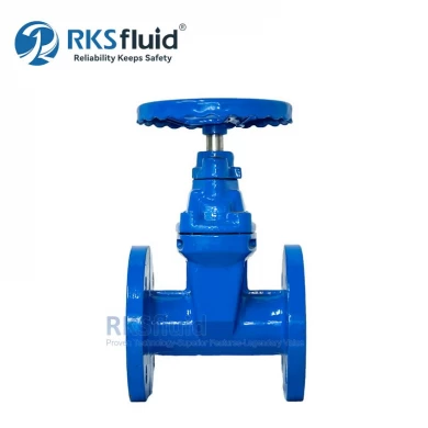 DIN F4 F5 Water Valve Resilient Seated Cast Iron Gate Valve dn100 dn150 dn200 for Water System