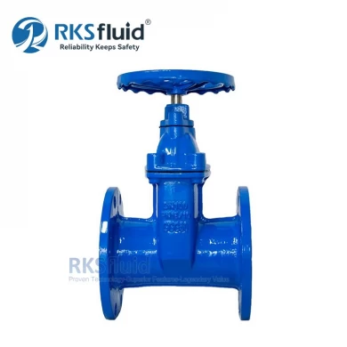 DIN F4 F5 Water Valve Resilient Seated Cast Iron Gate Valve dn100 dn150 dn200 for Water System
