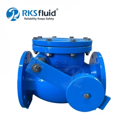 BS5153 Resilient EPDM NBR Ductile Iron DN25 Counter Weight Swing Check Valve PN16 for Water