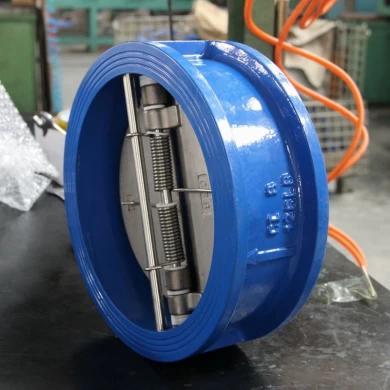 Factory Sales DIN ANSI Wafer Ductile Iron Dual Plate Check Valve DN250 PN16 for Pipeline