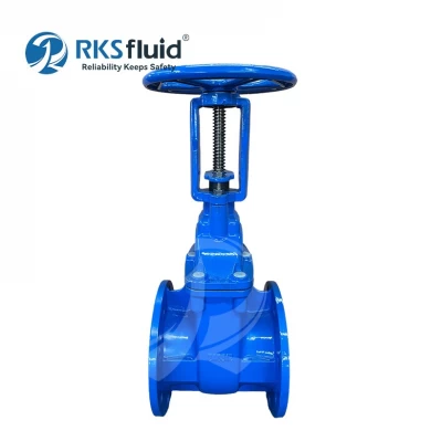 BS5163 50mm Ductile iron DN200 Metal Seated Rising Stem Gate Valve PN16 Customized