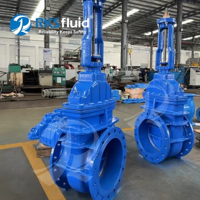 BS5163 50mm Ductile iron DN200 Metal Seated Rising Stem Gate Valve PN16 Customized