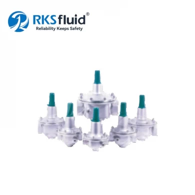 Short delivery time factory customized 2 direct acting pressure reducing valve PN101625