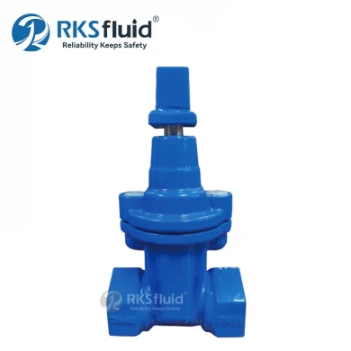 Factory Best Price BS5163 Threaded Ductile Iron Manual Resilient Seated 50mm Gate Valve PN10 for Water