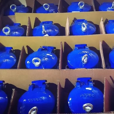 Factory Directly Sale BS EN1092-2 Ductile Iron DN50 DN100 Soft seated GGG50 Flange Flap Valve Price List