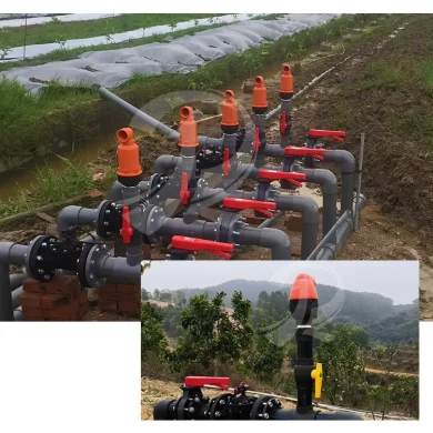 2 Inch Water Filter Irrigation Two Function Combined Air Relief Valve for Agriculture Farm Irrigation