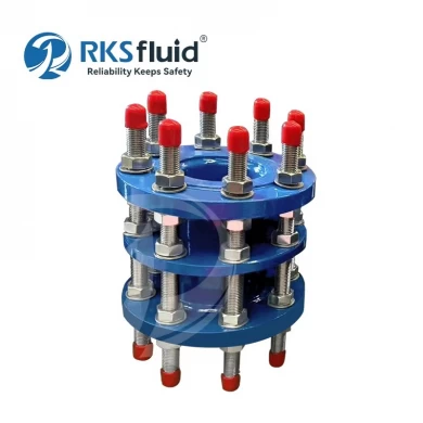 Supply Customized Ductile Iron DN65 DN100 Flange Dismantling Joint PN10 PN16 for Pipe Fitting