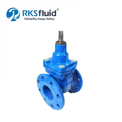 Factory Supply BS5163 Non-Rising Stem DN80 DN100 Resilient Seated Flange Ductile Iron Gate Valve PN16