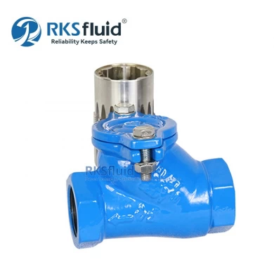China Manufacturer Threaded DN65 DN80 Ductile Iron Ball Check Valve PN10