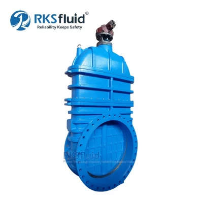 BS5163 DN250 150mm 300mm Ductile Iron Flanged OS&Y Gate Valve Price PN16 Customized