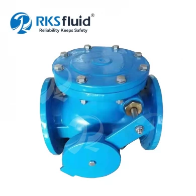 Factory Direct Supply BS5153 GGG50 Resilient Seated dn200 dn300 Flange End Swing Check Valve PN10 PN16