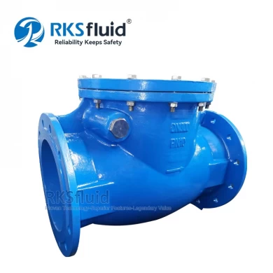 Factory Direct Supply BS5153 GGG50 Resilient Seated dn200 dn300 Flange End Swing Check Valve PN10 PN16