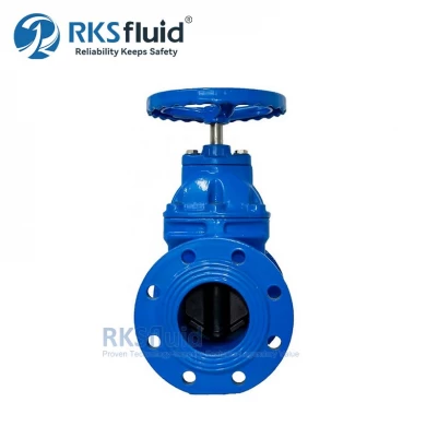 Factory Customised Manufacturers OEM ODM Ductile Cast Iron DN200 DN300 Flange Gate Valve PN10 PN16 for Water