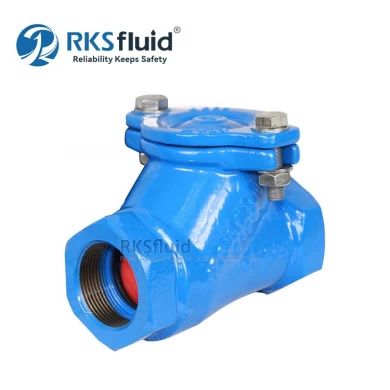 China Factory Direct Non Return Check Valve GGG40 DN25 PN10 Cast Iron Threaded Flange Ball Check Valve DN50 for Water
