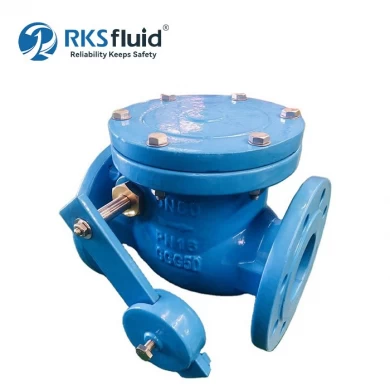 BS5153 Resilient Seated EPDM NBR Flange Type Wafer Swing Check Valve DN250 PN16 with Counterweight