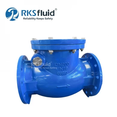 RKSfluid Valve Manufacturer BS5153 Wafer Cast Iron Flange Swing Check Valve DN100 DN200 Customized