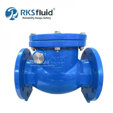 RKSfluid Valve Manufacturer BS5153 Wafer Cast Iron Flange Swing Check Valve DN100 DN200 Customized