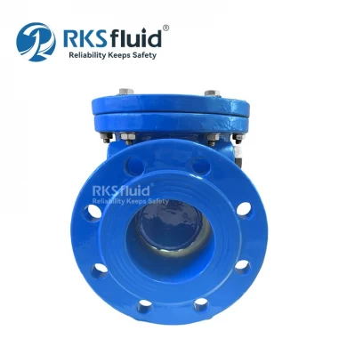 RKSfluid Valve Manufacturer BS5153 Wafer Cast Iron Flange Swing Check Valve DN100 DN200 Customized
