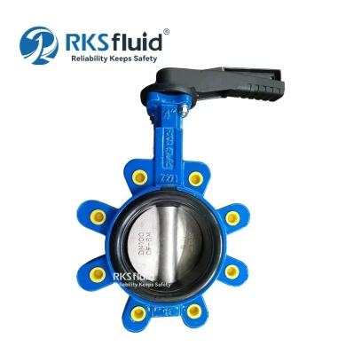 Chine Manufacturing Ductile Fonter Iron DN100 DN200 Wafer Lug Type de type papillon Custom