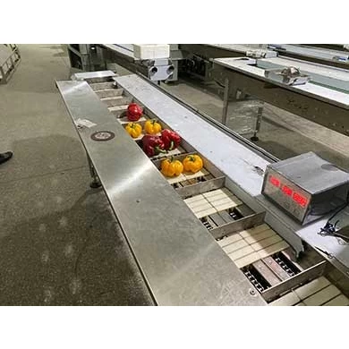 Automatic fruit and vegetable packing machine