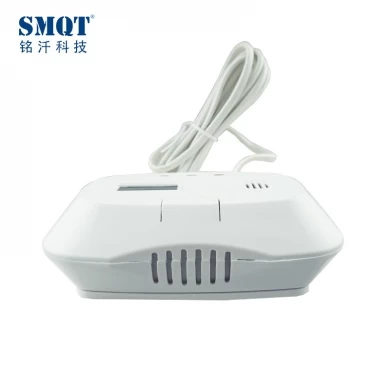 Wired CO detector with plug and screen