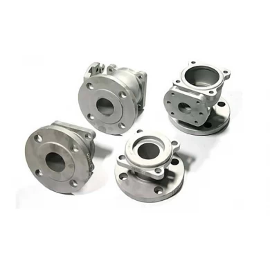 Stainless Steel Housing Stainless Die Casting Parts And Aluminum Die Casting Mold