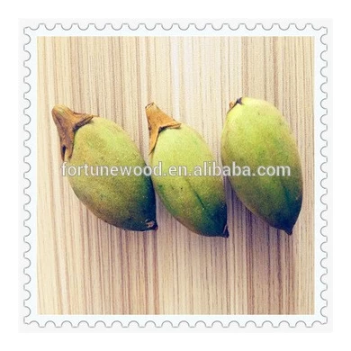 Fast growing rate cold resistant paulownia shan tong seeds for planting