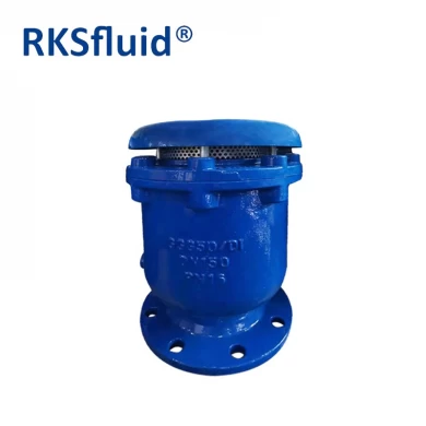 BS EN Threaded SS304 Ductile cast iron DN100 DN150 Flange air release valve for water line