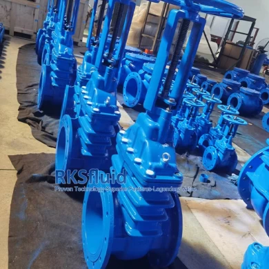 BS5163 OS&Y gate valve ductile iron rising stem metal seated flange gate valve factory price