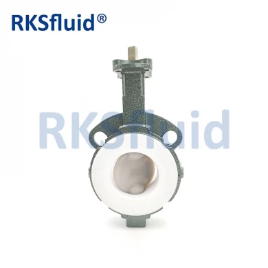 China Chinese butterfly valve DN65 3IN wafer lug PTFE PFA disc seat acid application