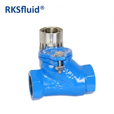 China Factory Direct DIN PN10 PN16 Ductile Iron Flange Threaded End Ball Type Check Valve Price List