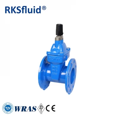 China Manufacturer Inch DN50-DN300 Ductile Iron Resilient Seated Non-Rising Stem Gate Valve