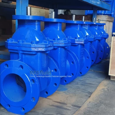 Chinese Gate Valve Manufacturer Cast Iron Ductile Iron Soft Seal Resilient Seated Flange Water Gate Valve DN150 PN16 with CE