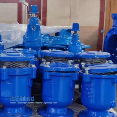 Fabricante chino proveedor BS EN brida roscada válvula de liberación de aire de hierro dúctil PN10 PN16 personalizable para sistema de riego