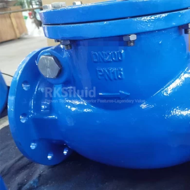 DIN PN16 Ductile iron Resilient Sealing Swing Check Valve with Weight
