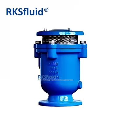Factory Direct Supply DN100 PN16 Threaded Flanged Ductile Cast Iron Air Release Valve for Water
