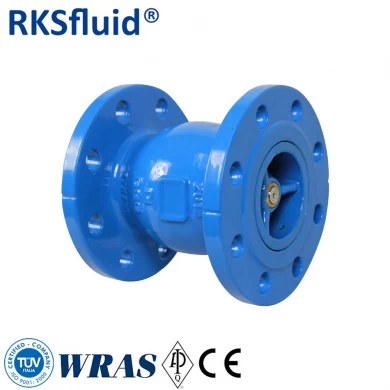 RKSfluid PN10 PN16 물 또는 가스 용 연성 철 DN80 플랜지 노즐 체크 밸브