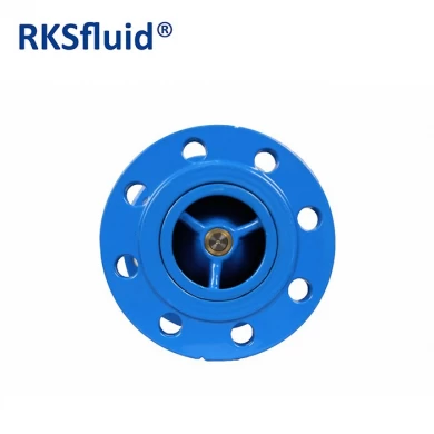 RKSfluid PN10 PN16 Ferro Ductil DN80 Flange Válvula de Verificação para água ou gás