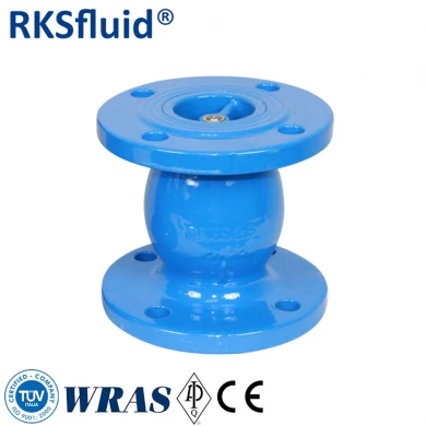RKSfluid PN10 PN16-Duktil-Eisen-DN80-Flansch-Düsen-Rückschlagventil für Wasser oder Gas