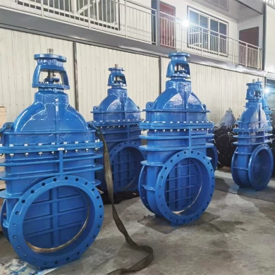 RKSfluid Suppliers Customized BS5163 PN16 DN800 Ductile Cast Iron Metal Seated Gate Valve