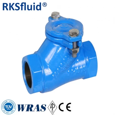 RKSfluid  chinese check valve ductile iron threaded ball check valve for industrial pumping