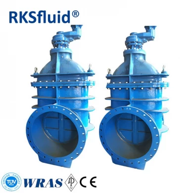RKSfluid أعلى جودة 25 ملليمتر بوابة الصمامات تحت الأرض المياه المدفونة صمام بوابة البوابة