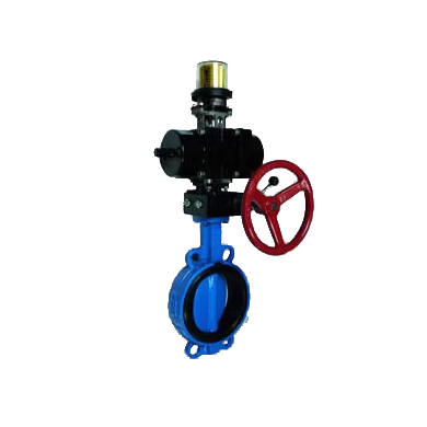 Resilient seat epoxy resin coated disc butterfly valve