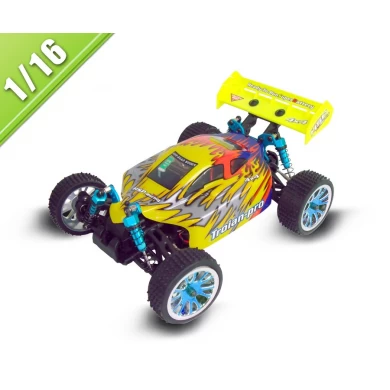 1/16 scale electric power off-road buggy TPEB-1605