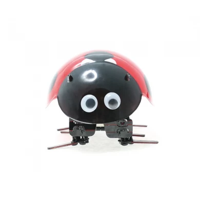 2.4G DIY ladybug Robot        F10