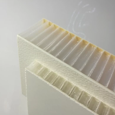 Panneau sandwich de nid d'abeilles de polyester renforcé de fibre de verre FRP pp