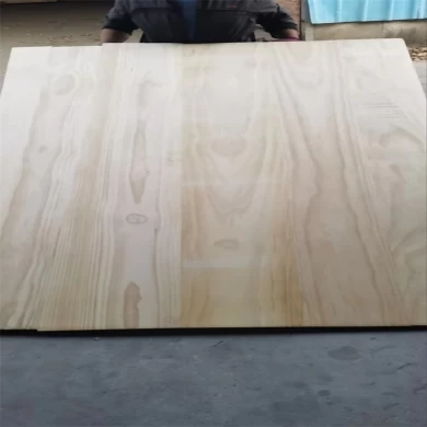 radiata pine wood for the coffins and caskets panel factory